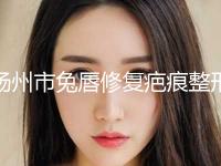 扬州市兔唇修复疤痕整形外科价格表（收费标准）可在线免费参考一览-扬州市兔唇修复疤痕均价为77308元 
