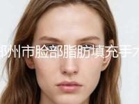 郑州市脸部脂肪填充手术医生在榜名单前10强首度发布-陶茂淮整形医生 